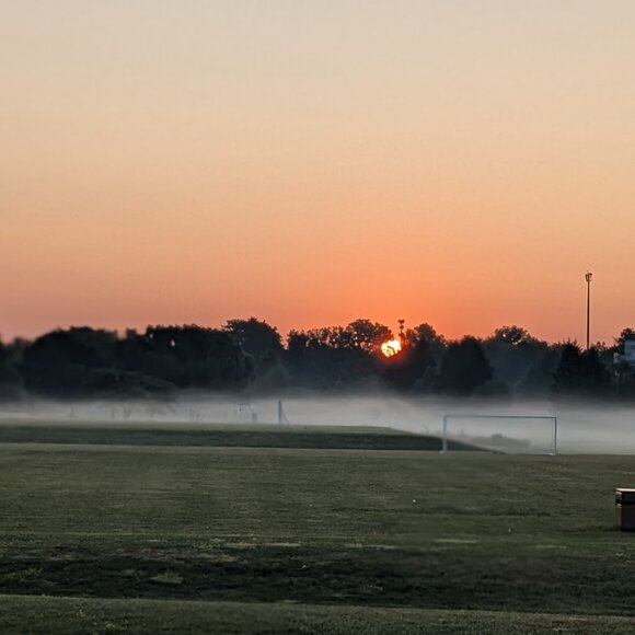 Meet your Posher, Natasha - Picture 1 of 1